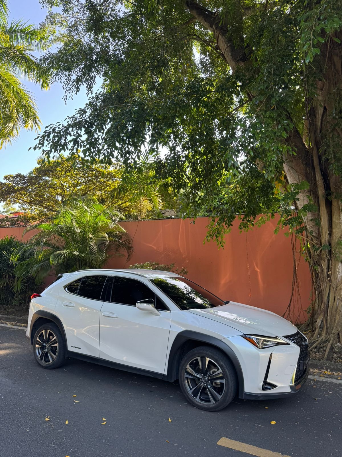 LEXUS UX 250h 2022 - Imagen 5