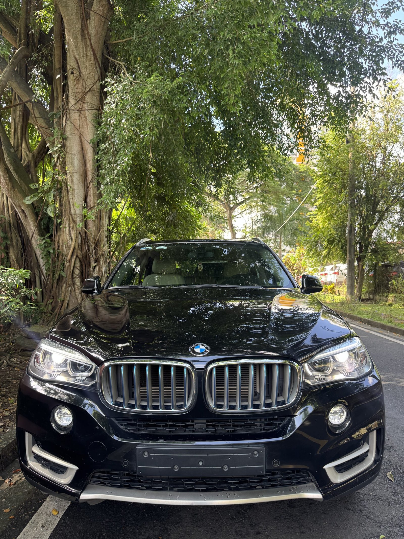 BMW X5 XDRIVE 4.0E 2018 - Imagen 8