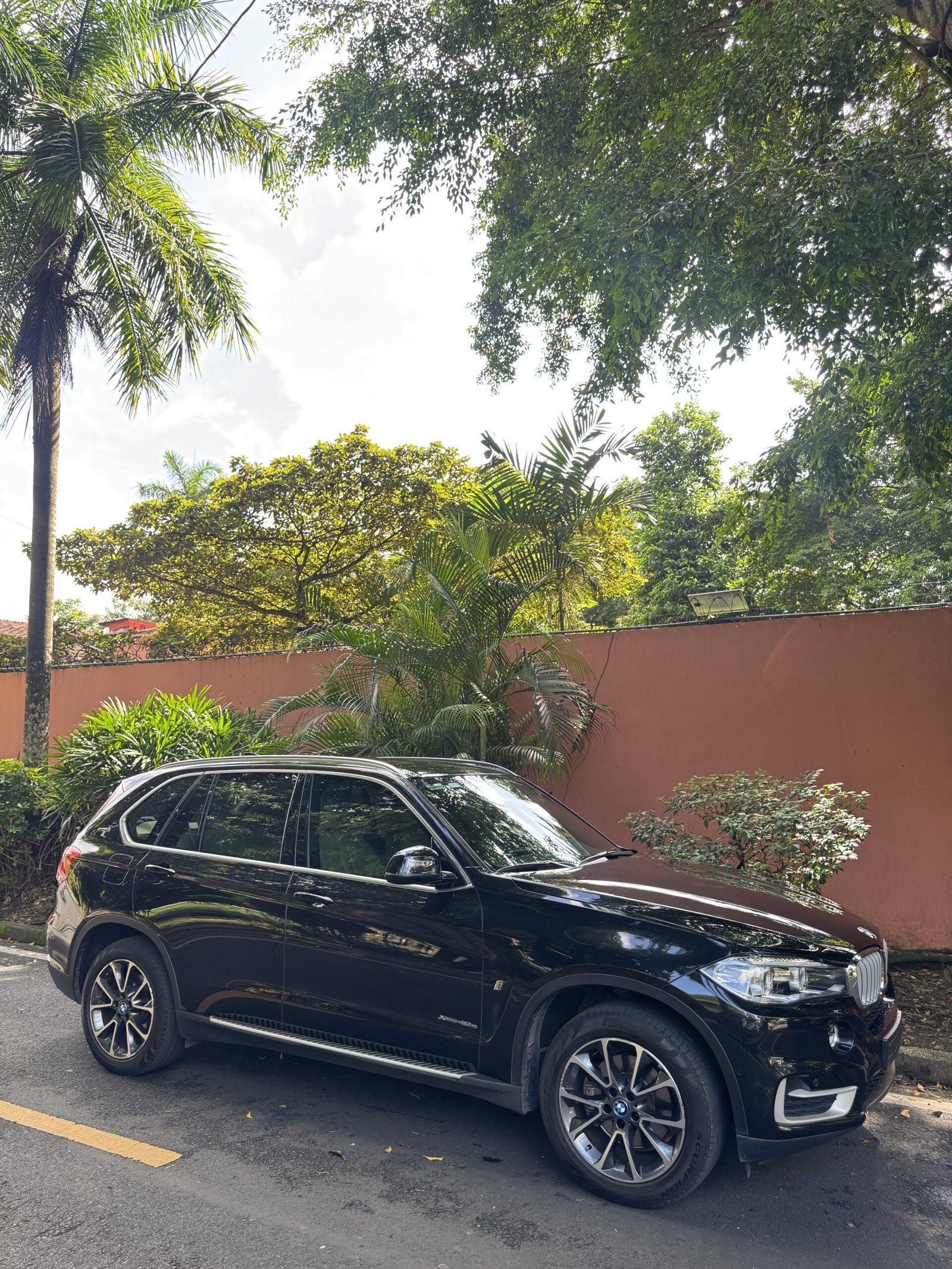 BMW X5 XDRIVE 4.0E 2018 - Imagen 3