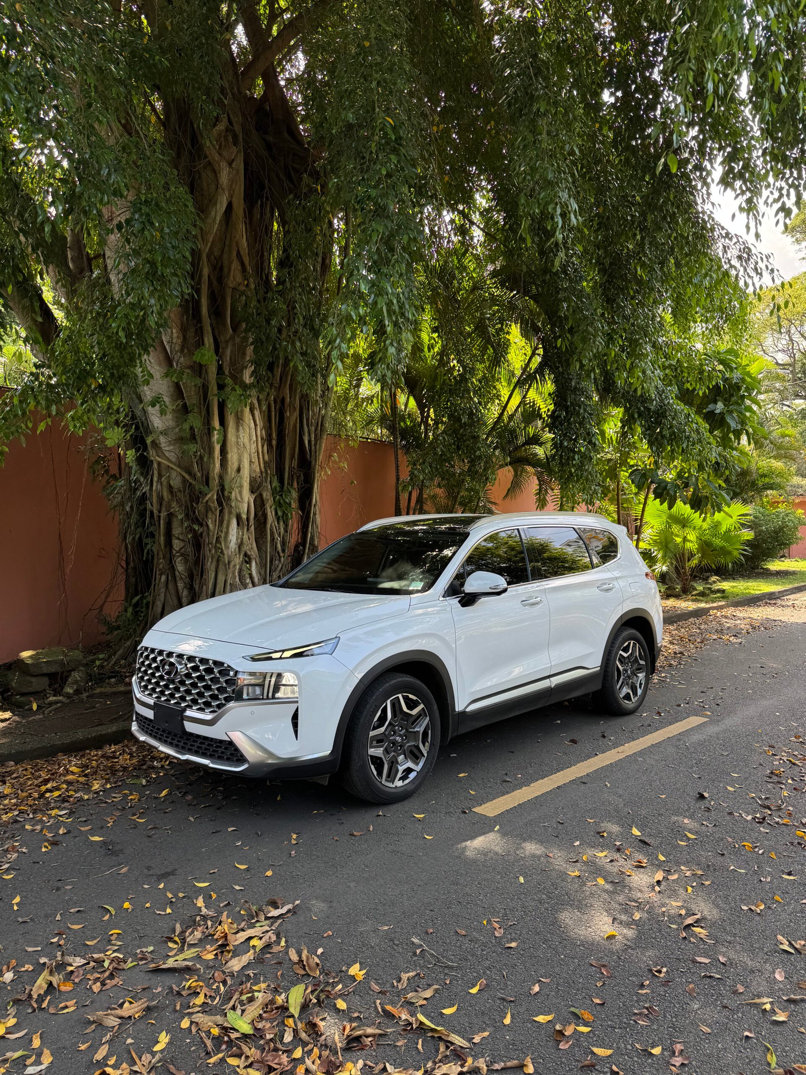 HYUNDAI SANTA FE 2022