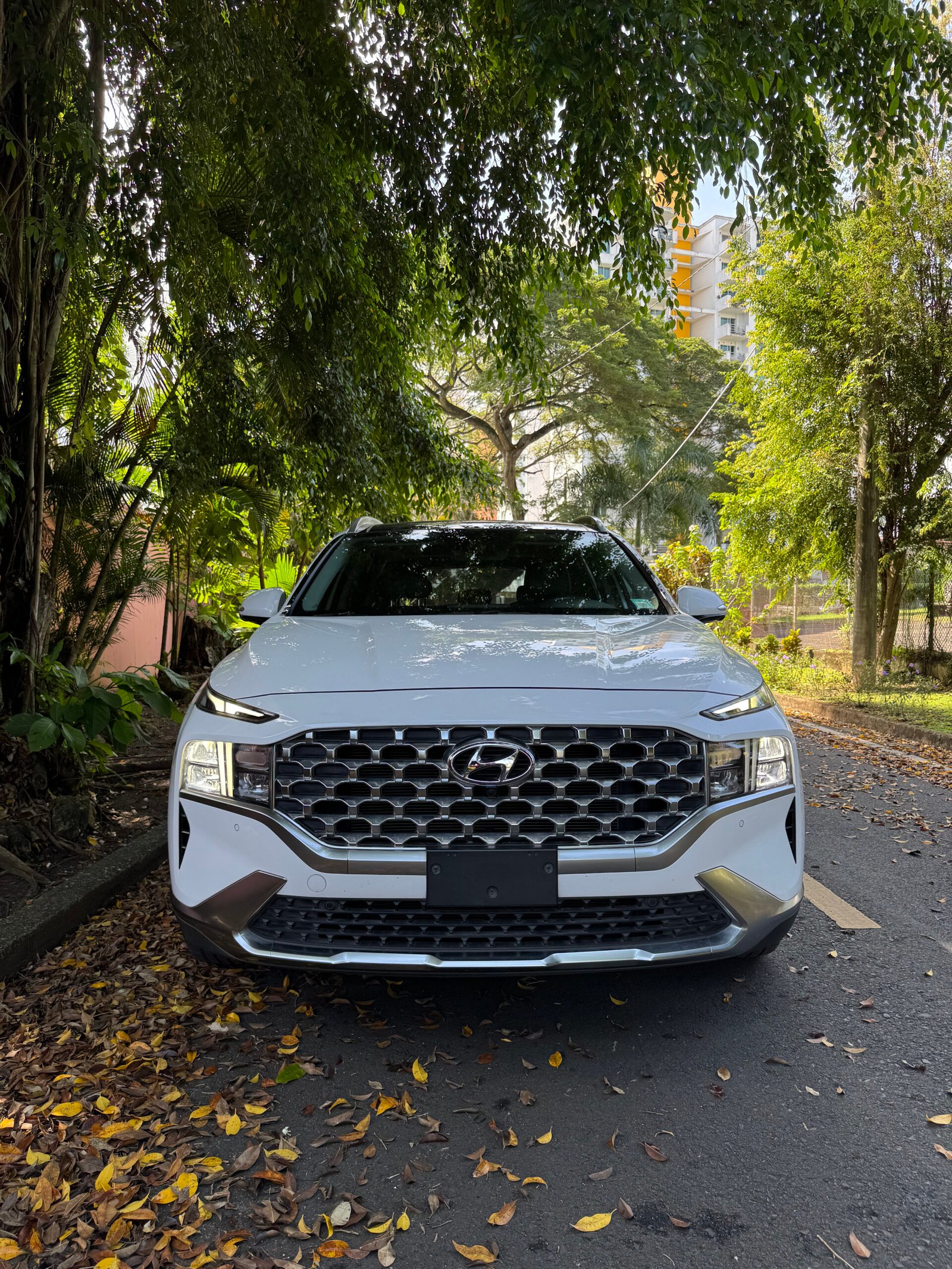 HYUNDAI SANTA FE 2022 - Imagen 2