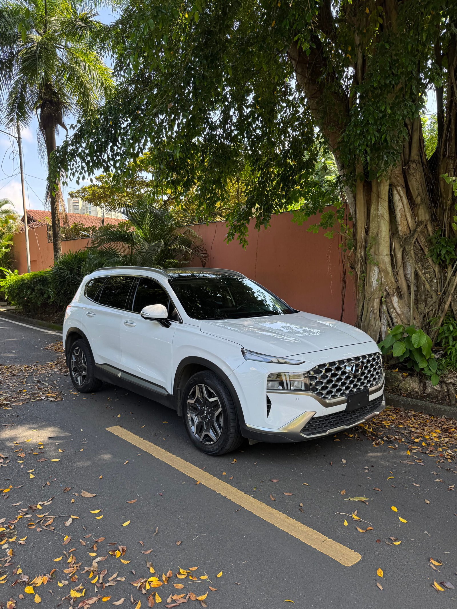 HYUNDAI SANTA FE 2022 - Imagen 17