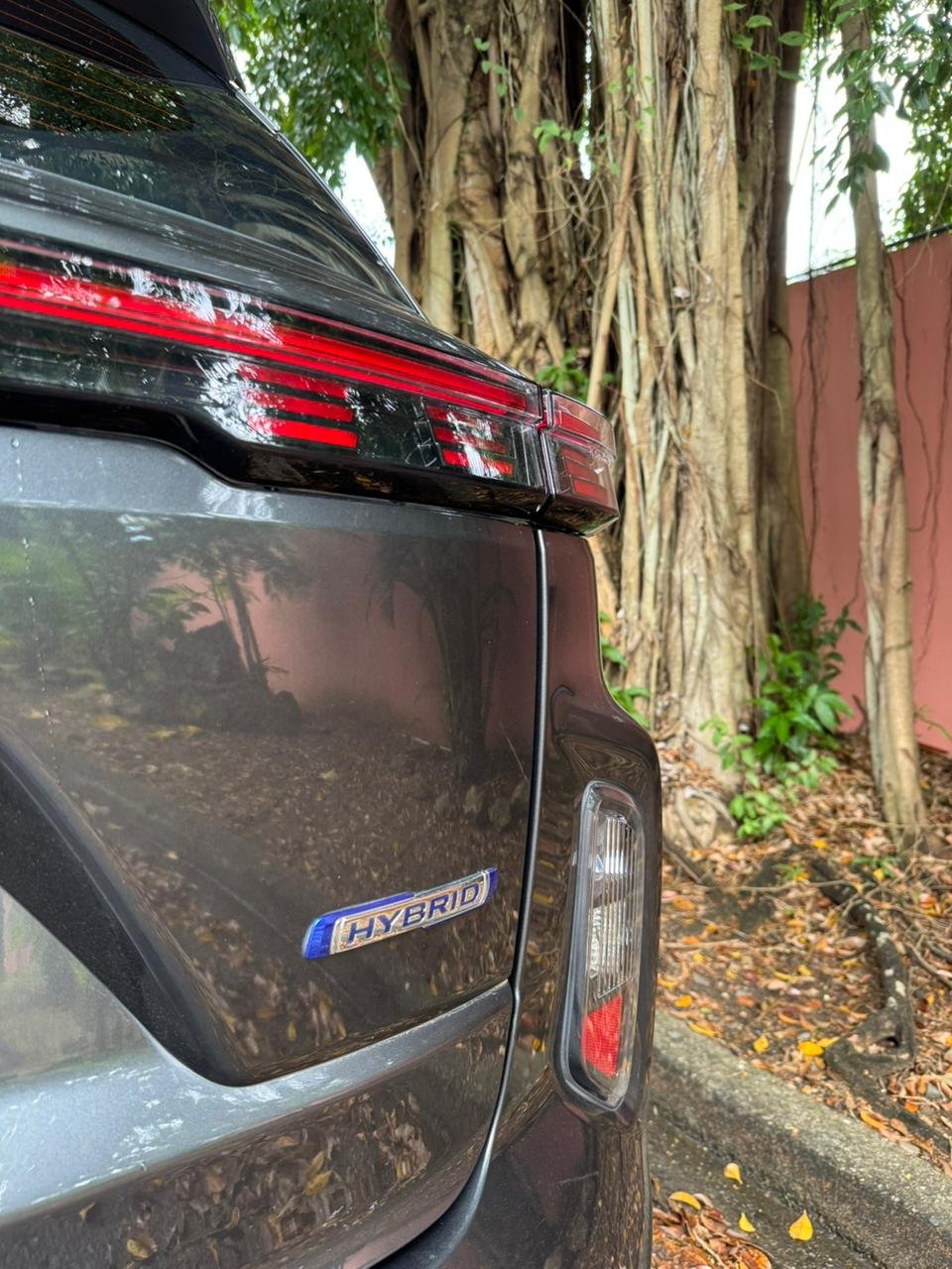 SUZUKI GRAND VITARA 2024 - Imagen 4