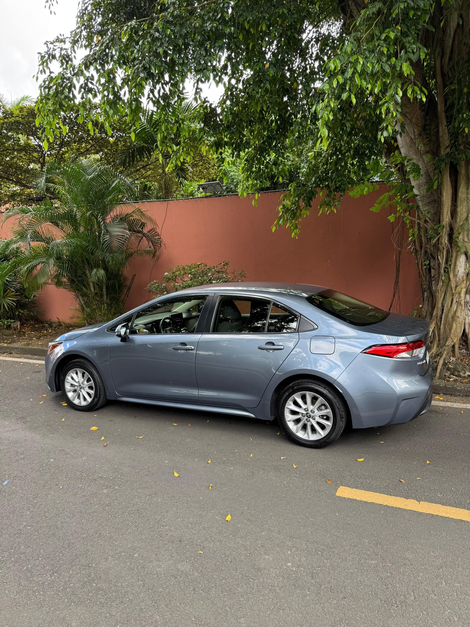 TOYOTA COROLLA 2023 - Imagen 2