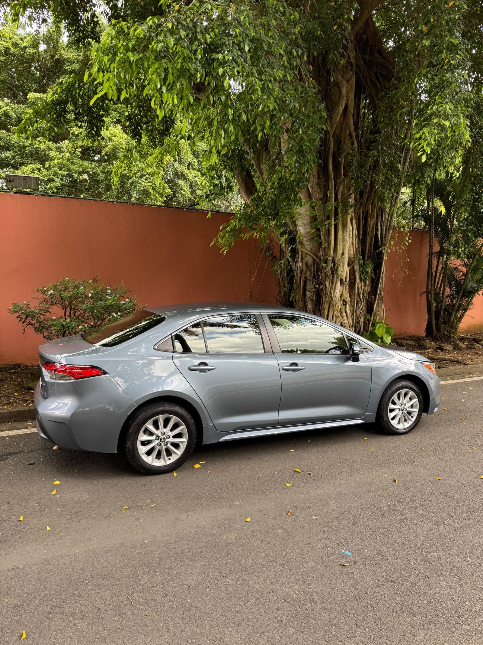 TOYOTA COROLLA 2023 - Imagen 10