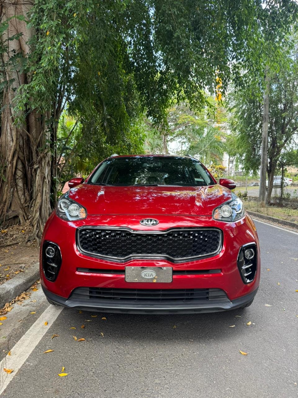 KIA SPORTAGE 2018 - Imagen 2