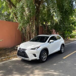 LEXUS NX300H 2021
