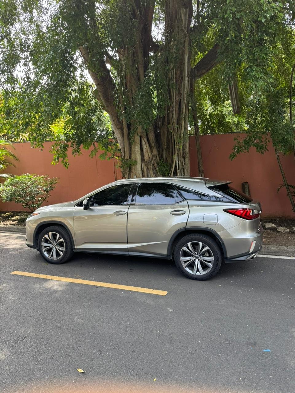 LEXUS RX350 2019 - Imagen 2