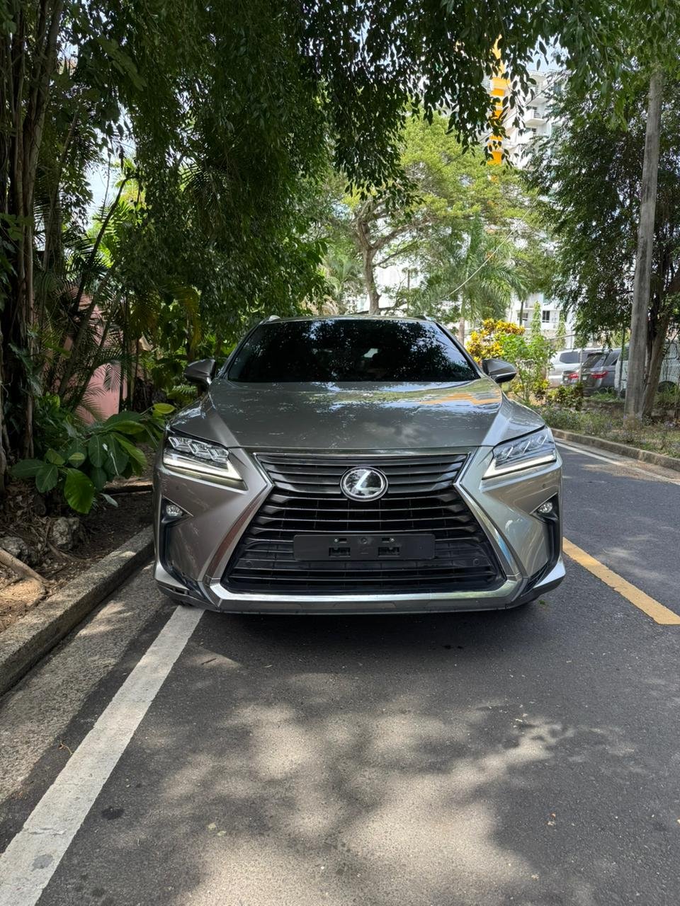 LEXUS RX350 2019 - Imagen 4