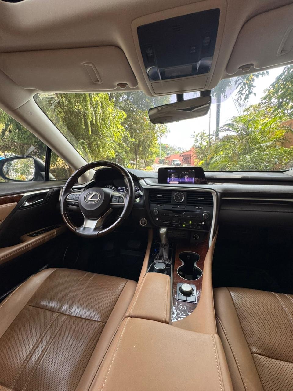 LEXUS RX350 2019 - Imagen 9