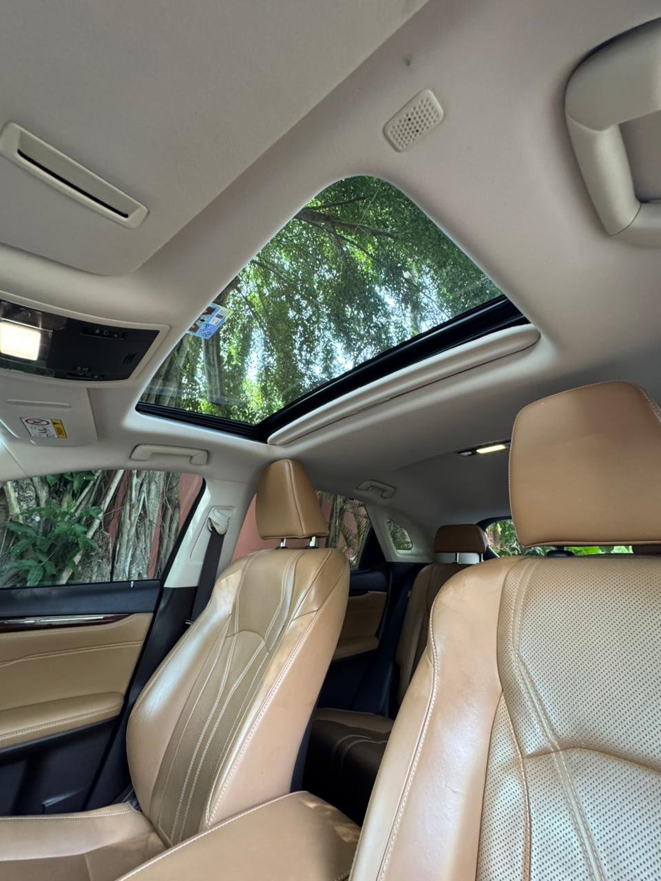 LEXUS RX350 2019 - Imagen 10