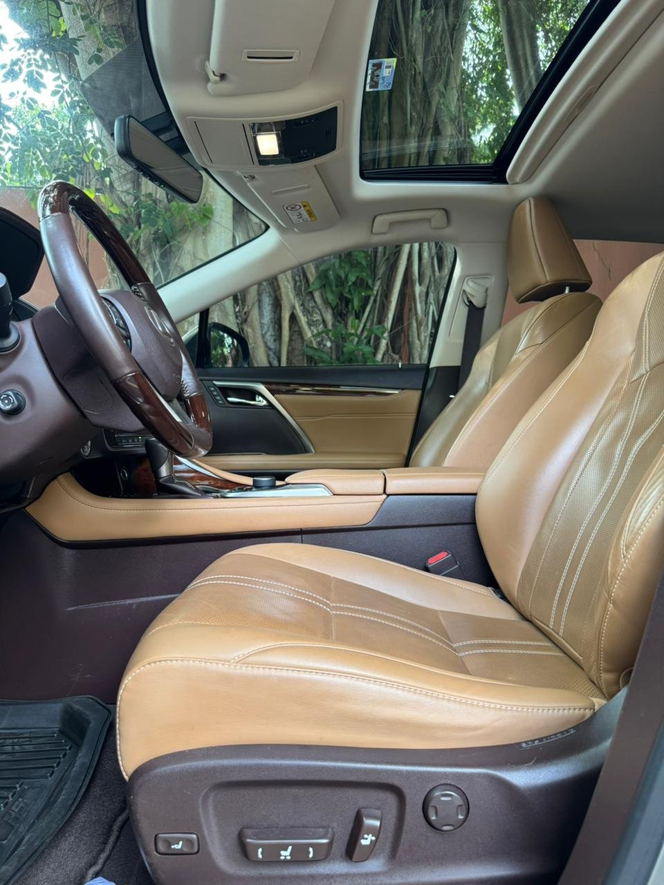 LEXUS RX350 2019 - Imagen 11