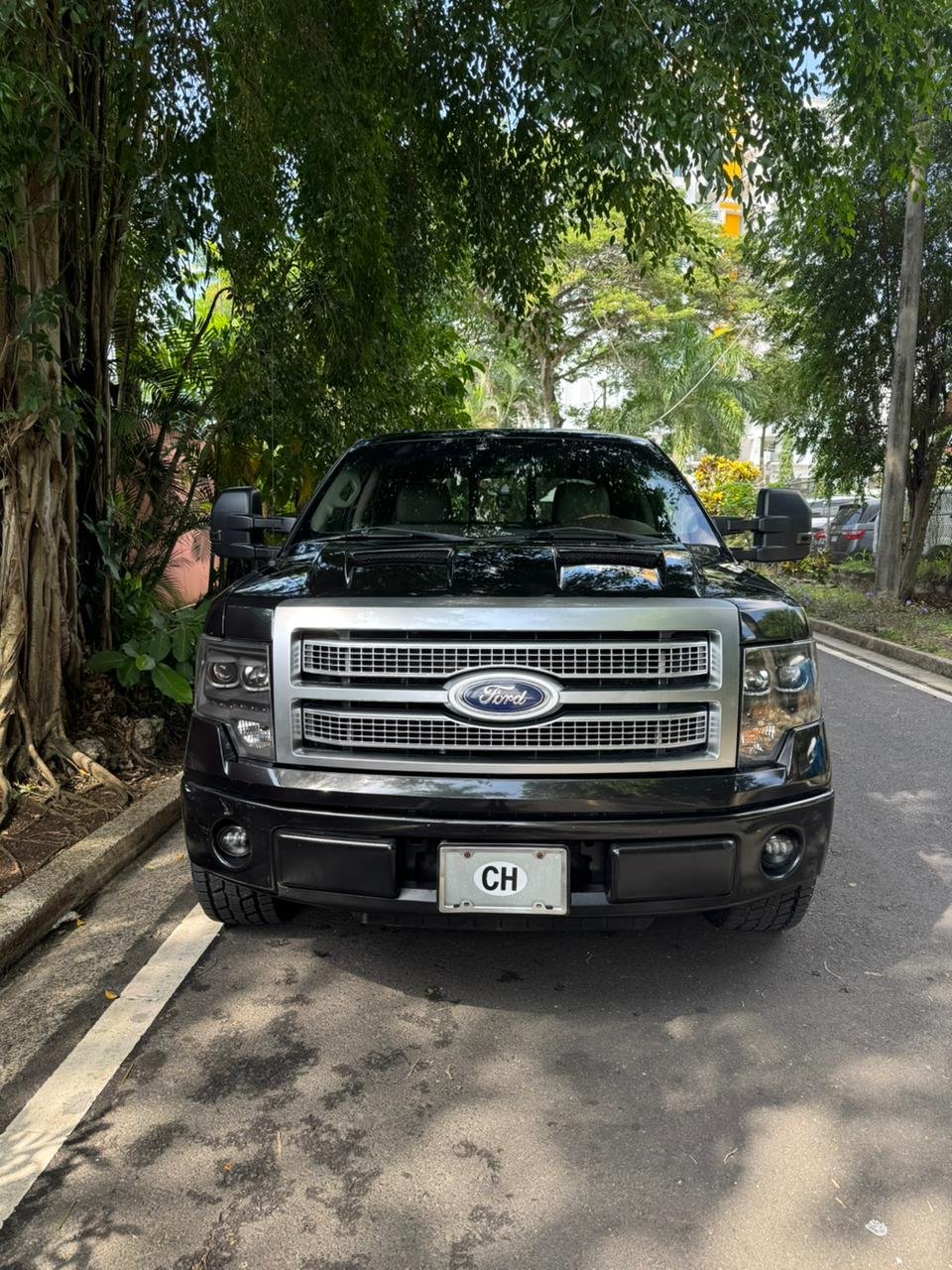 FORD F150 PLATINUM 2010 - Imagen 2