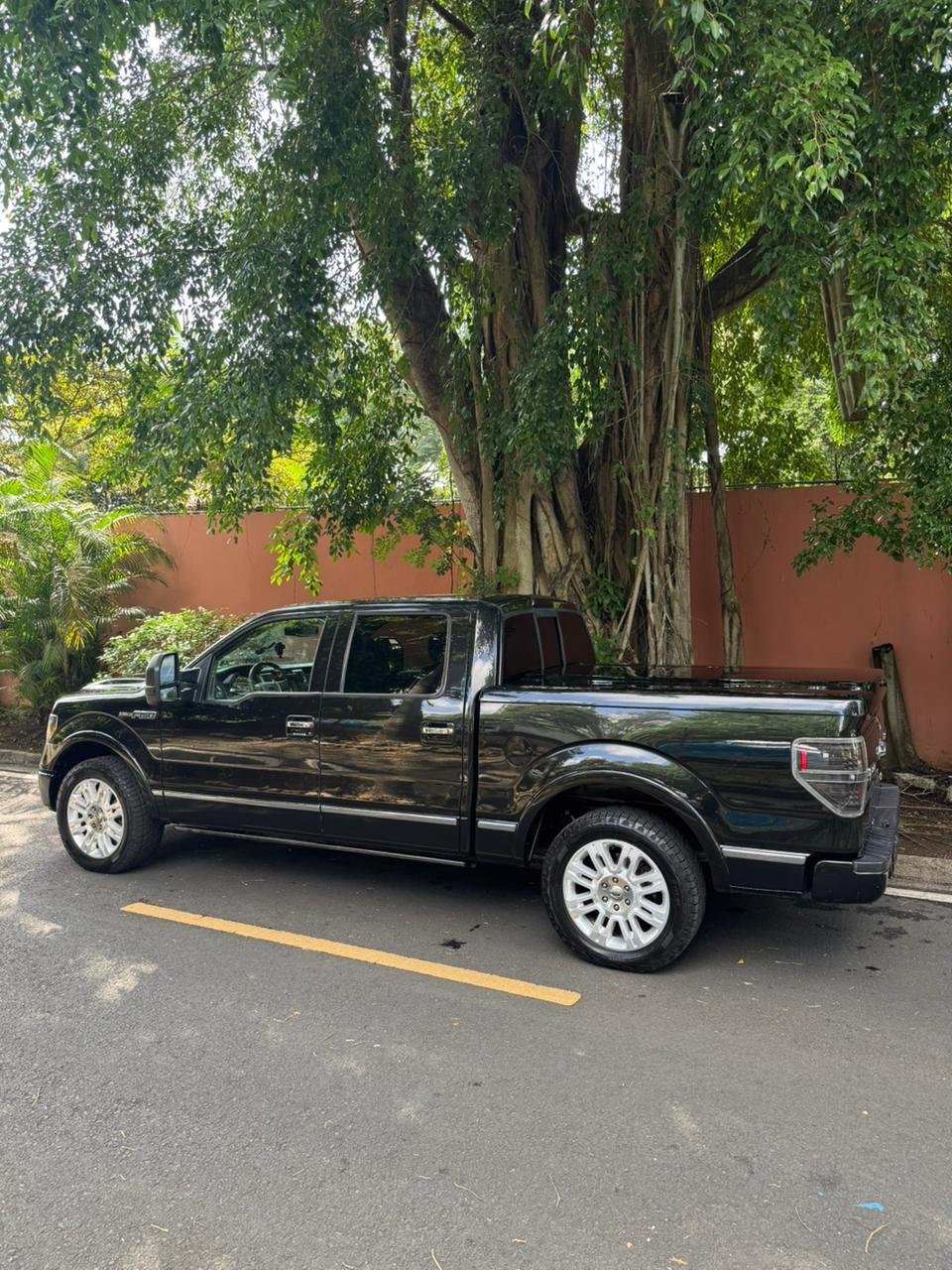 FORD F150 PLATINUM 2010 - Imagen 3