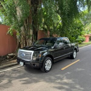 FORD F150 PLATINUM 2010
