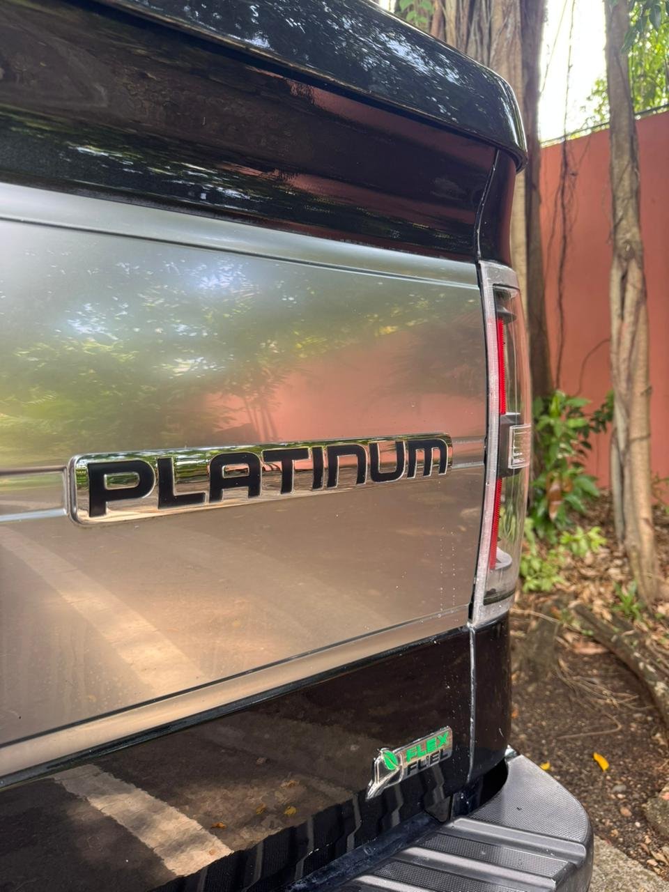FORD F150 PLATINUM 2010 - Imagen 4