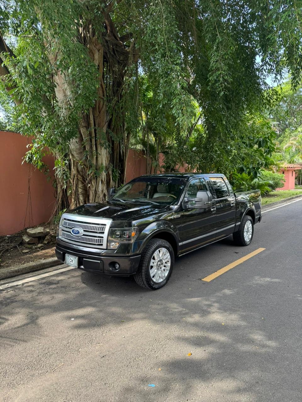 FORD F150 PLATINUM 2010
