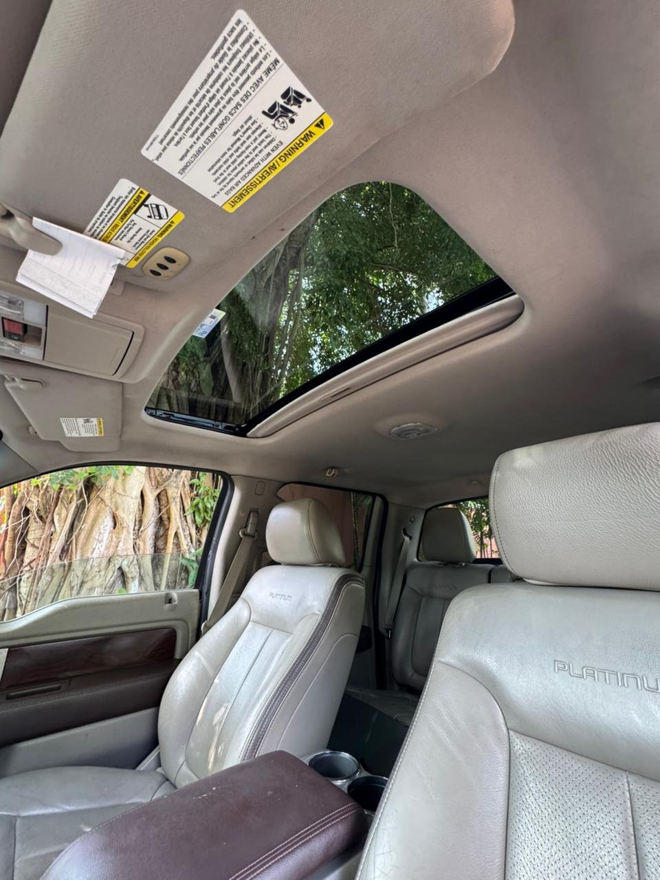 FORD F150 PLATINUM 2010 - Imagen 7