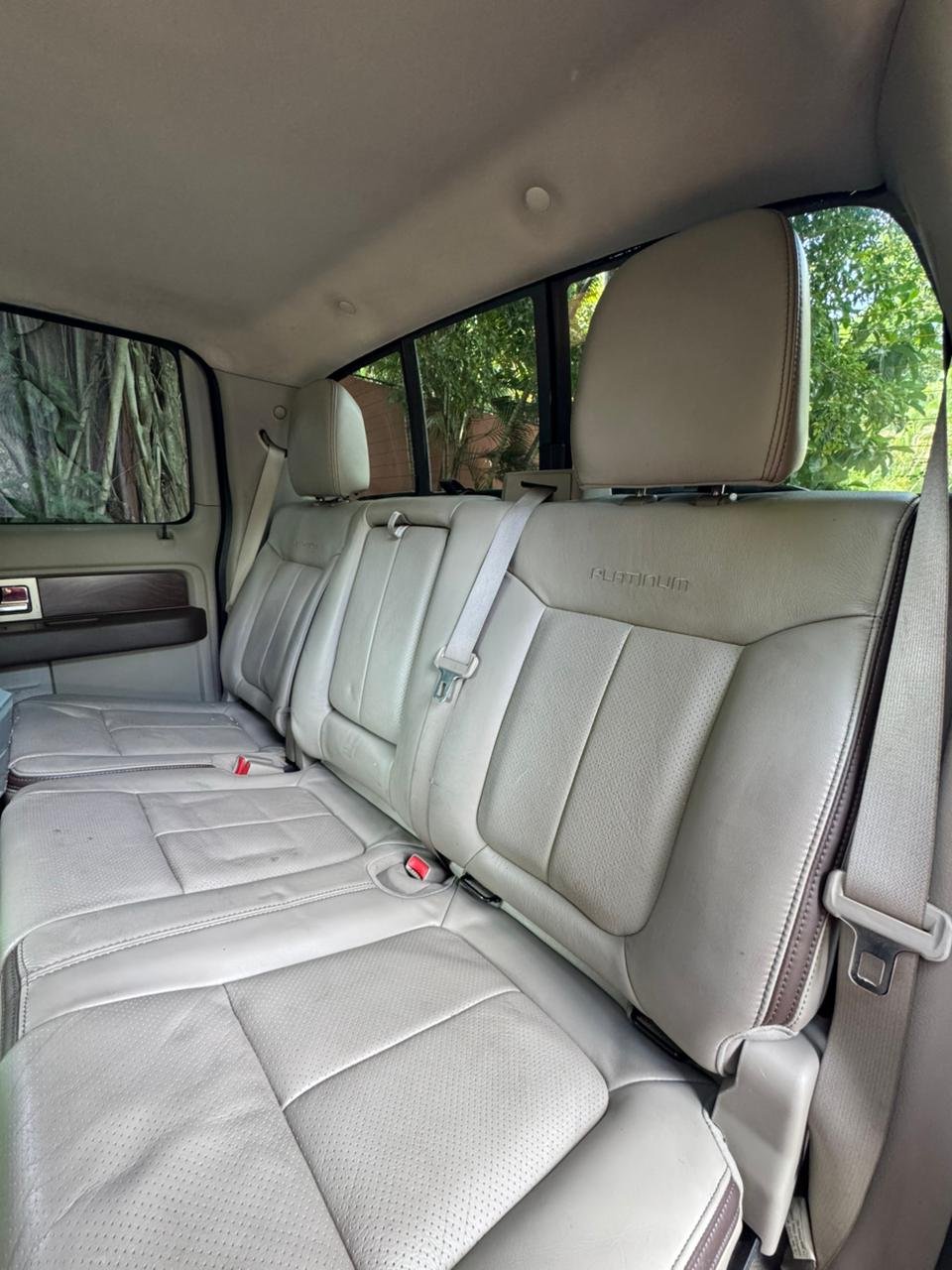 FORD F150 PLATINUM 2010 - Imagen 9