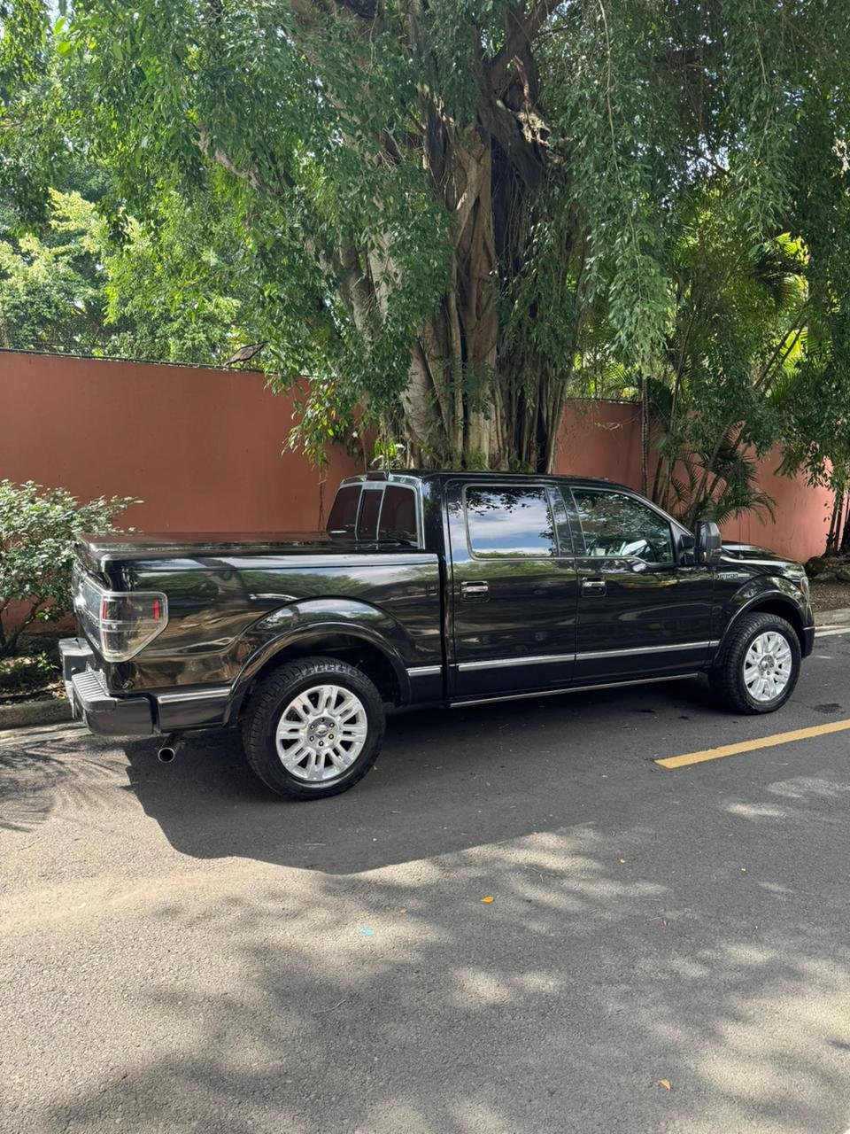 FORD F150 PLATINUM 2010 - Imagen 10