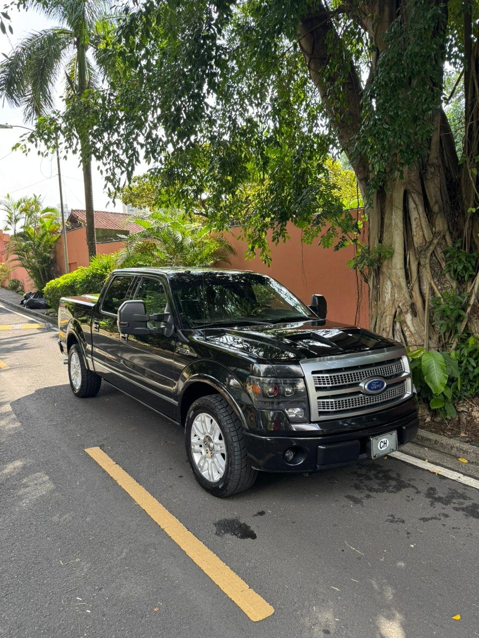 FORD F150 PLATINUM 2010 - Imagen 11