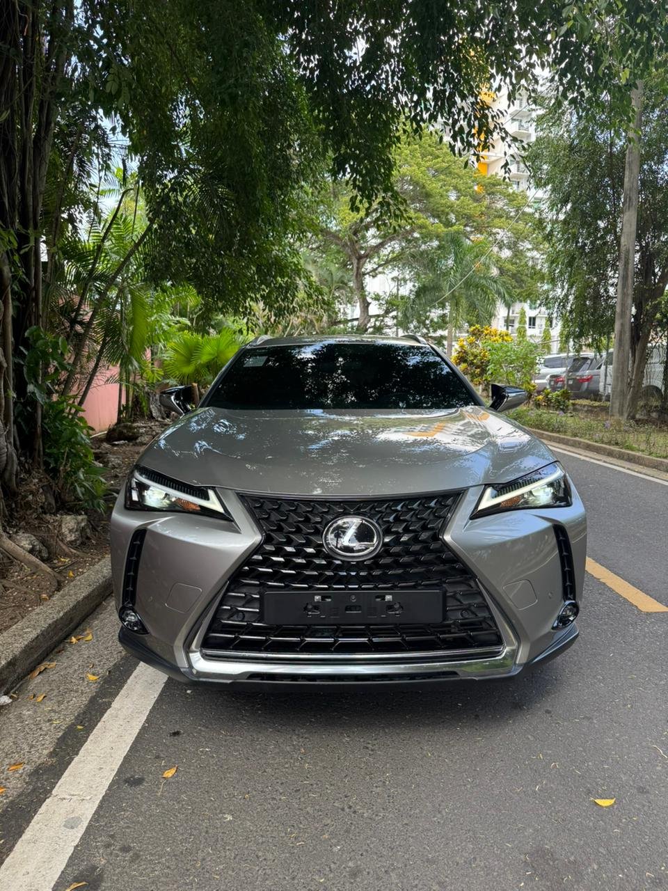 LEXUS UX250H 2024 - Imagen 2