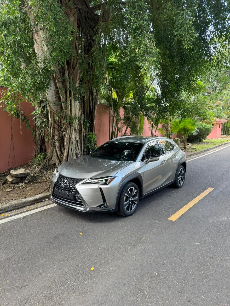 LEXUS UX250H 2024