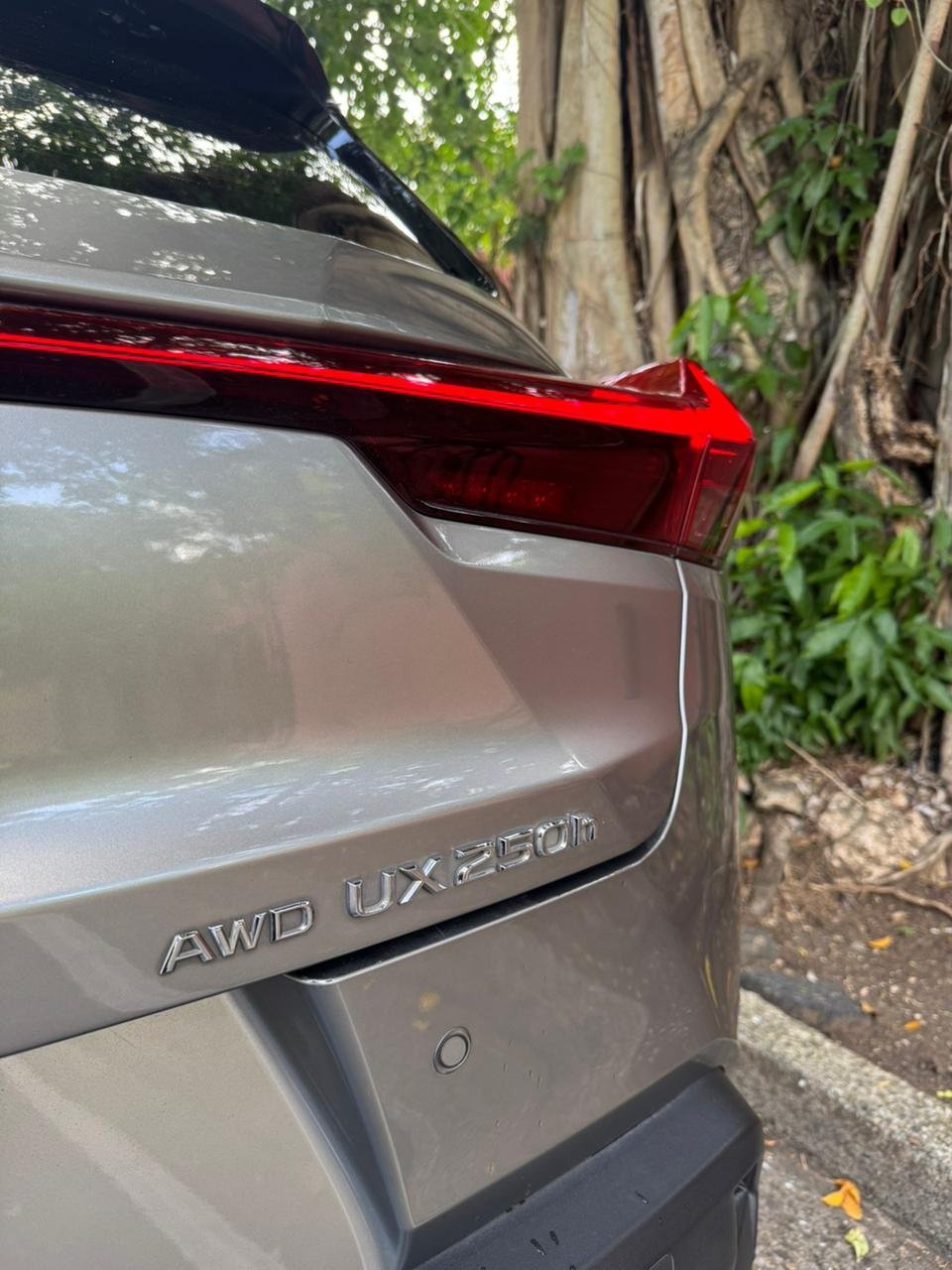 LEXUS UX250H 2024 - Imagen 3