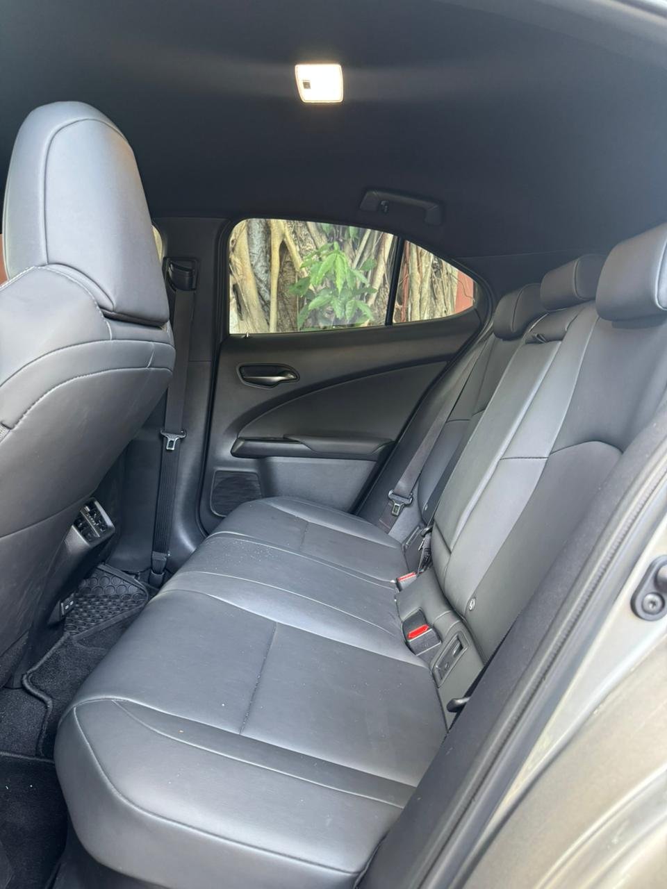 LEXUS UX250H 2024 - Imagen 6
