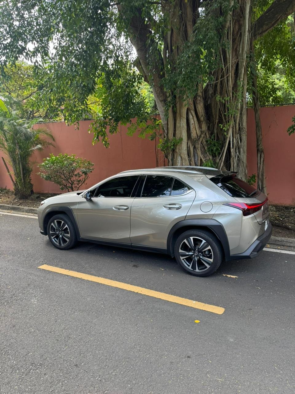 LEXUS UX250H 2024 - Imagen 7