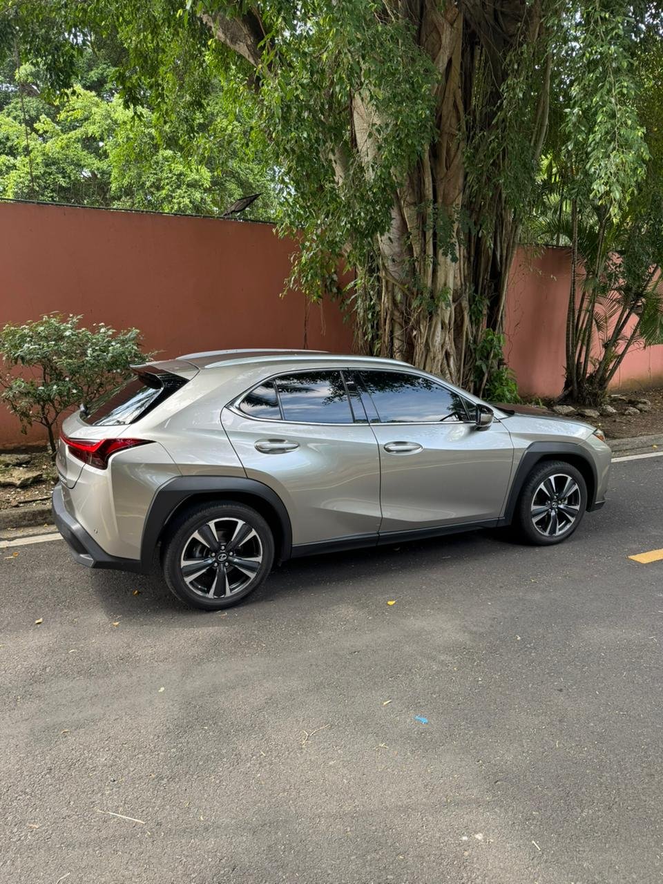 LEXUS UX250H 2024 - Imagen 13
