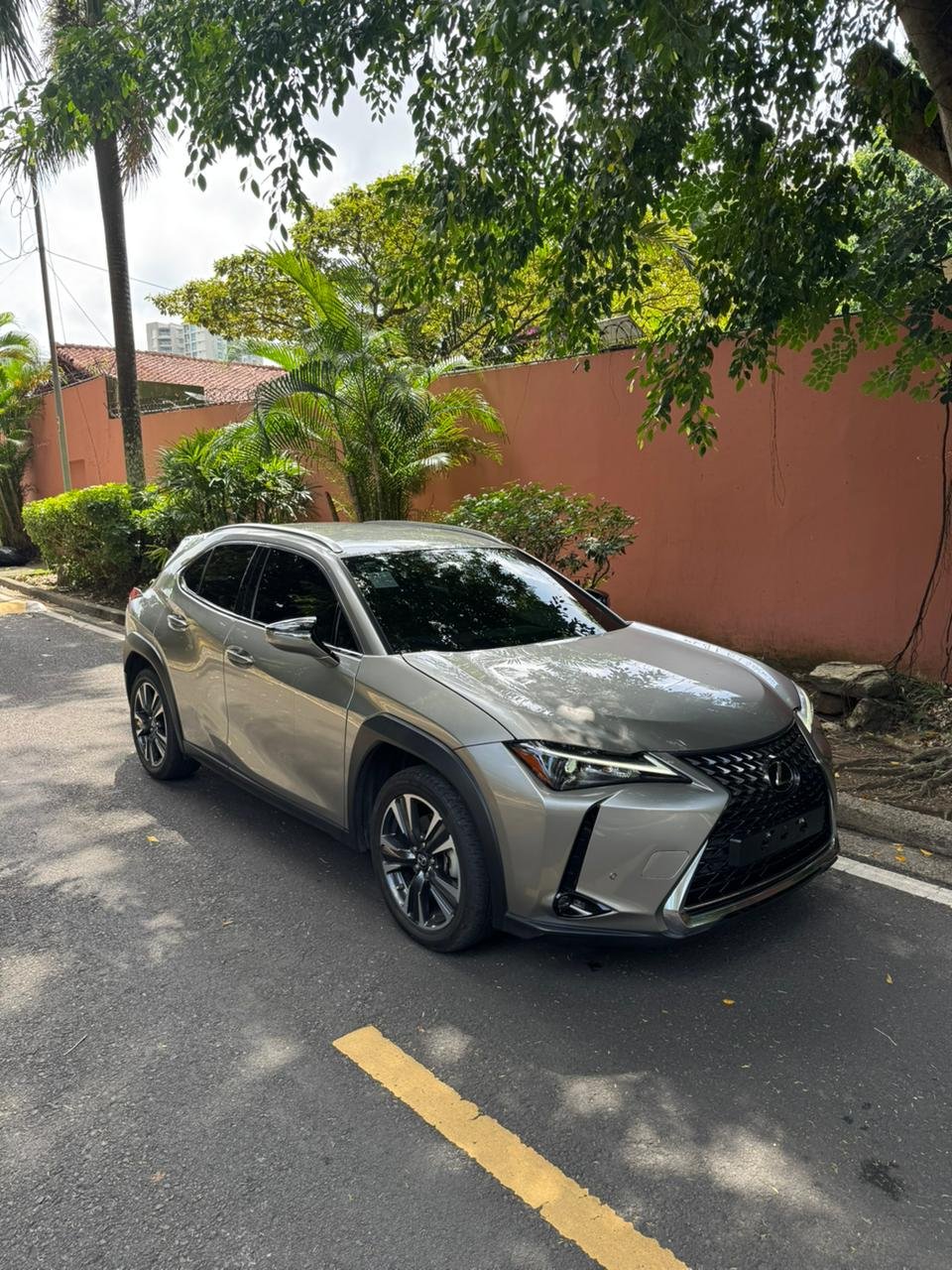 LEXUS UX250H 2024 - Imagen 14
