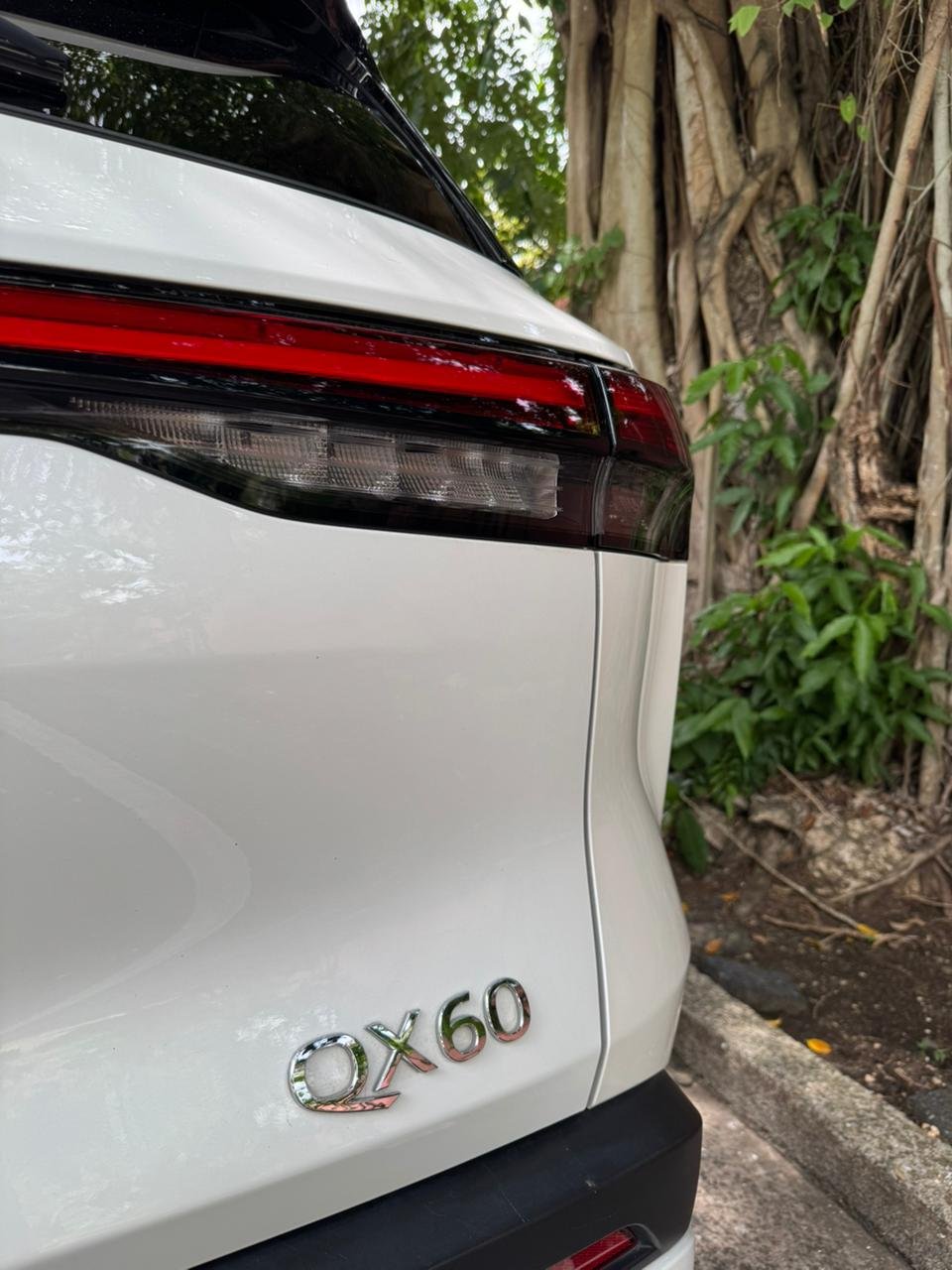 INFINITY QX60 AWD 2025 - Imagen 3