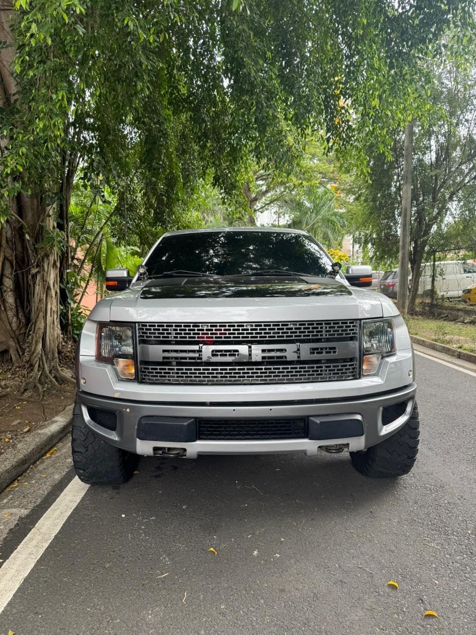 FORD RAPTOR 2013 - Imagen 2