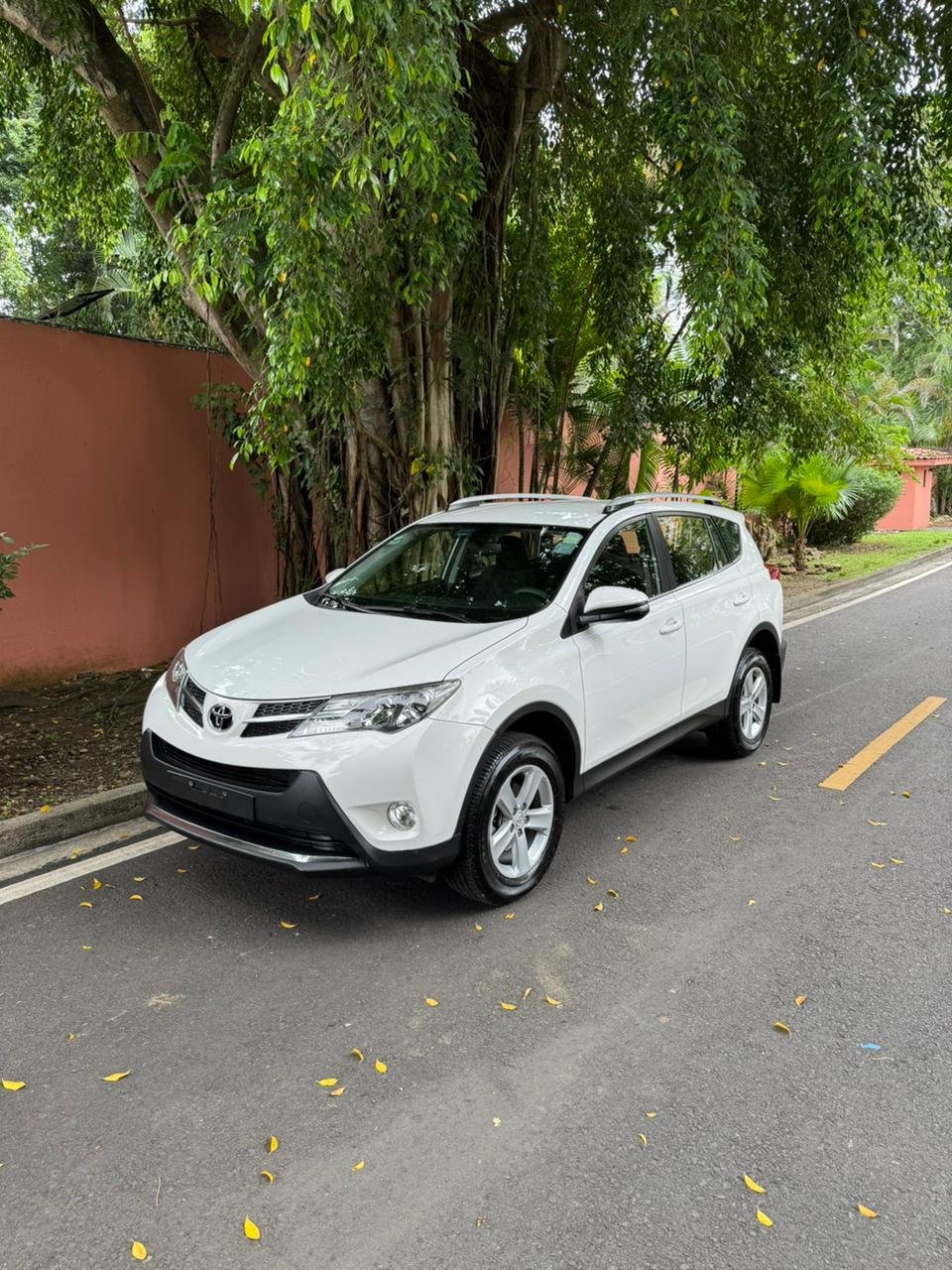 TOYOTA RAV4 2014