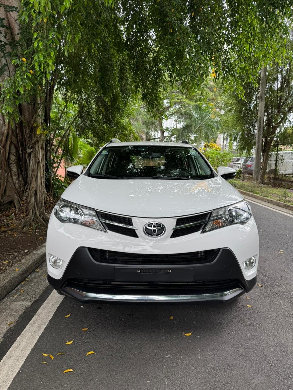 TOYOTA RAV4 2014 - Imagen 2