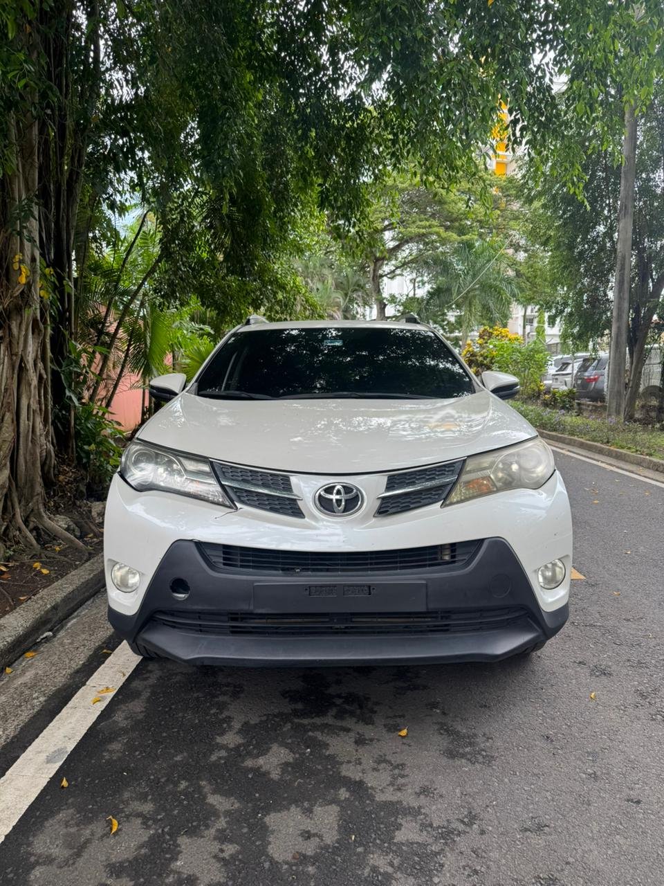 TOYOTA RAV4 2013 - Imagen 2