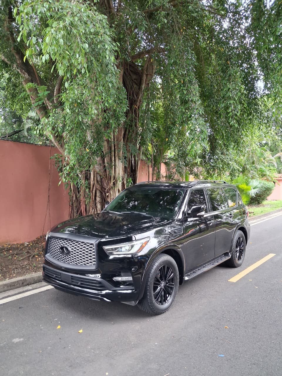 INFINITY QX80 2020