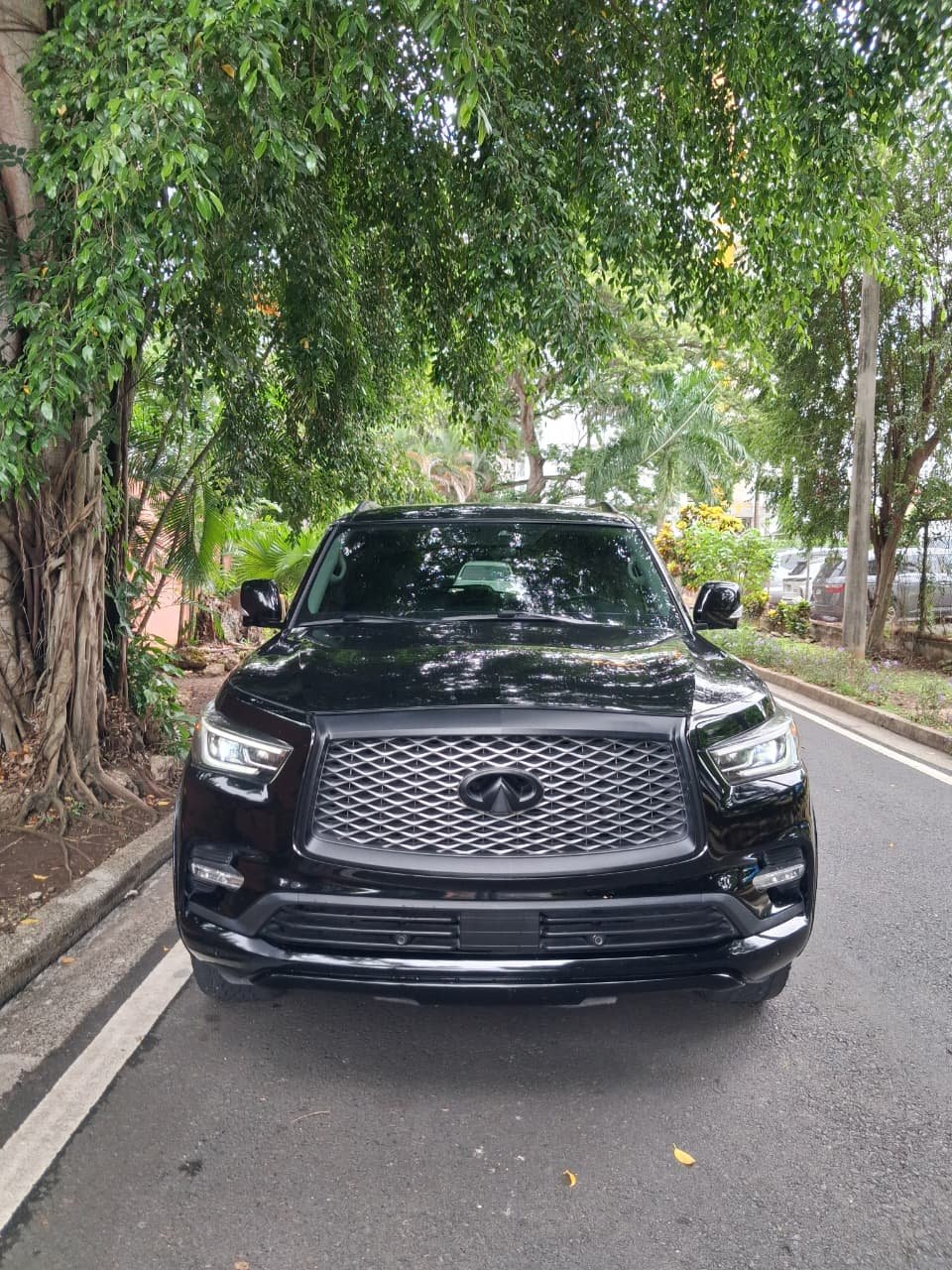 INFINITY QX80 2020 - Imagen 4