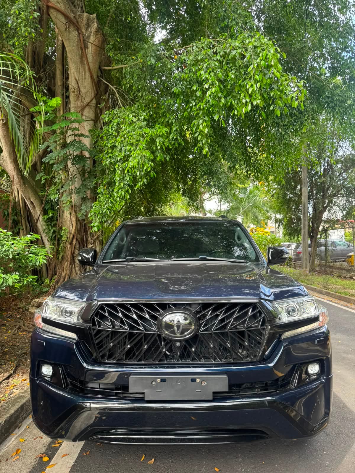 TOYOTA LANDCRUISER EXECUTIVE LOUNGE 2019 - Imagen 2