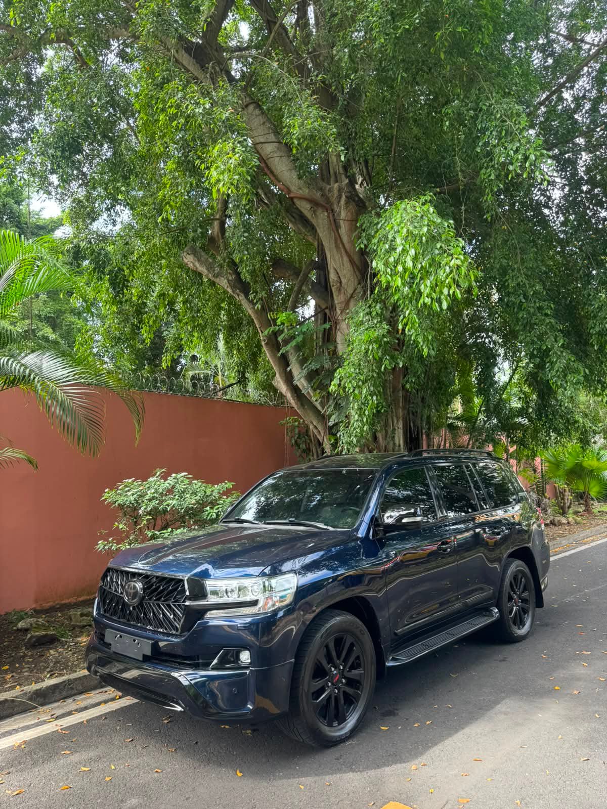 TOYOTA LANDCRUISER EXECUTIVE LOUNGE 2019