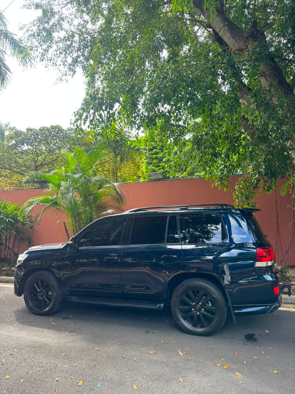 TOYOTA LANDCRUISER EXECUTIVE LOUNGE 2019 - Imagen 5