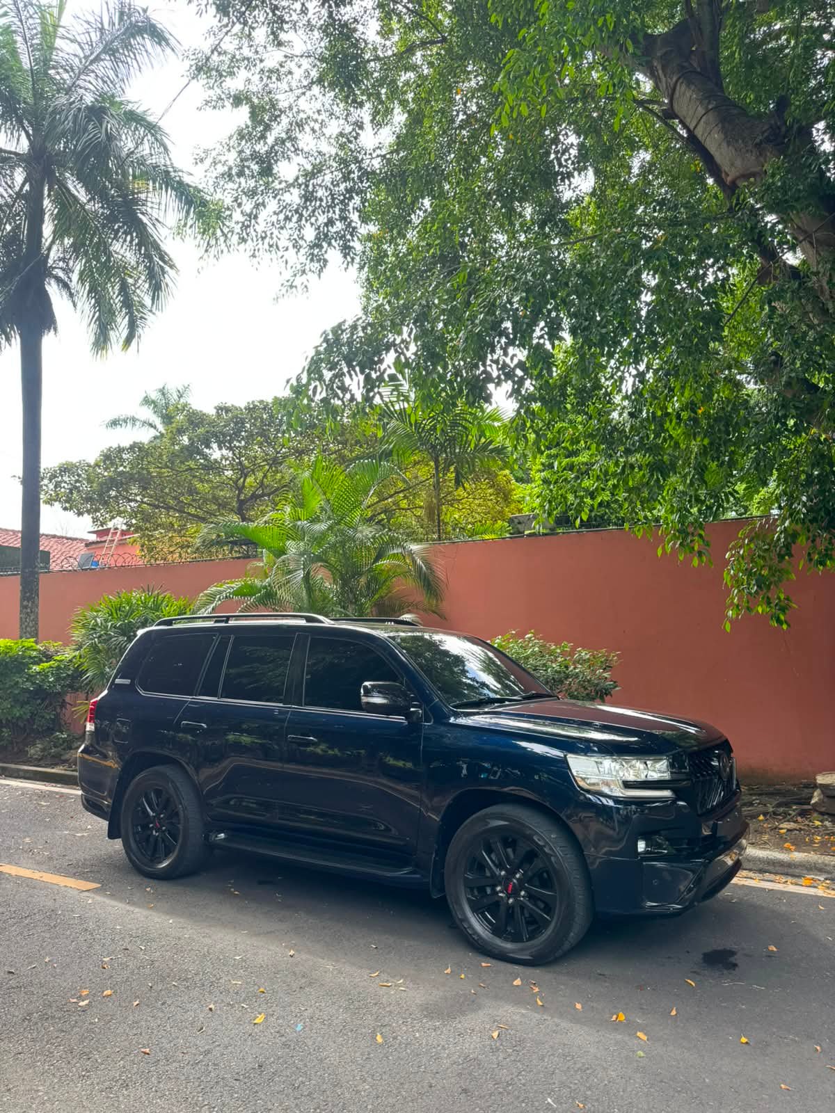 TOYOTA LANDCRUISER EXECUTIVE LOUNGE 2019 - Imagen 15