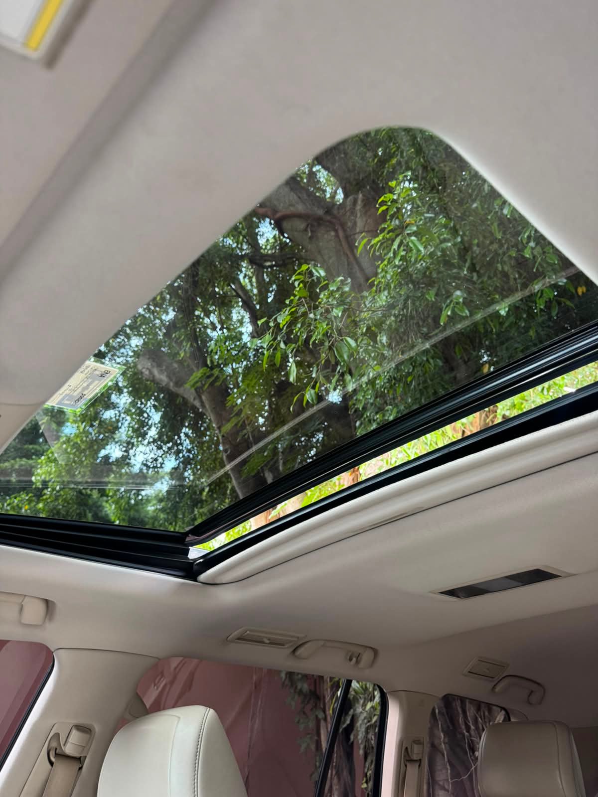 TOYOTA LANDCRUISER EXECUTIVE LOUNGE 2019 - Imagen 18