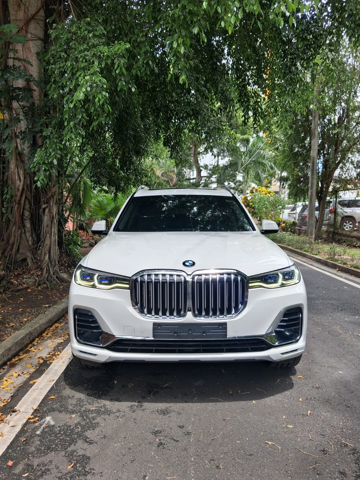 BMW X7 XDRIVE40I 2020 - Imagen 4