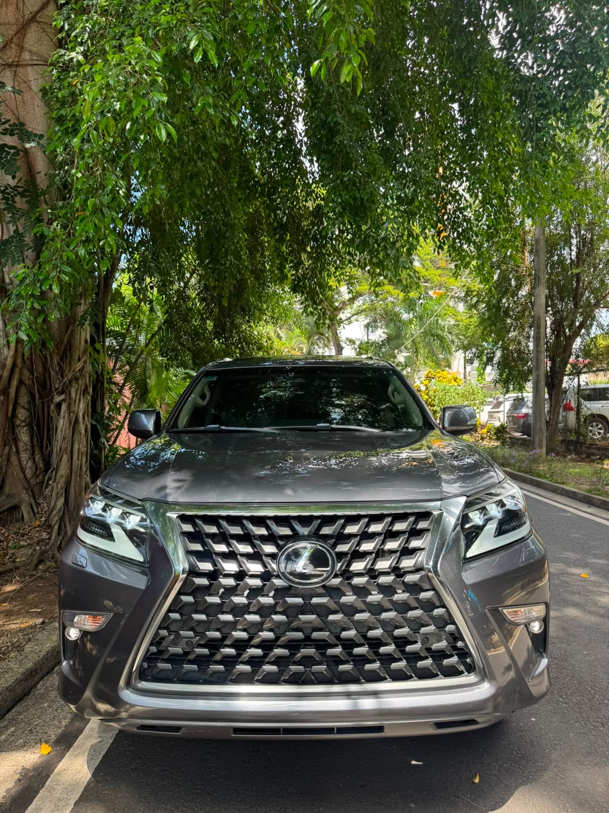 LEXUS GX460 2020 - Imagen 2