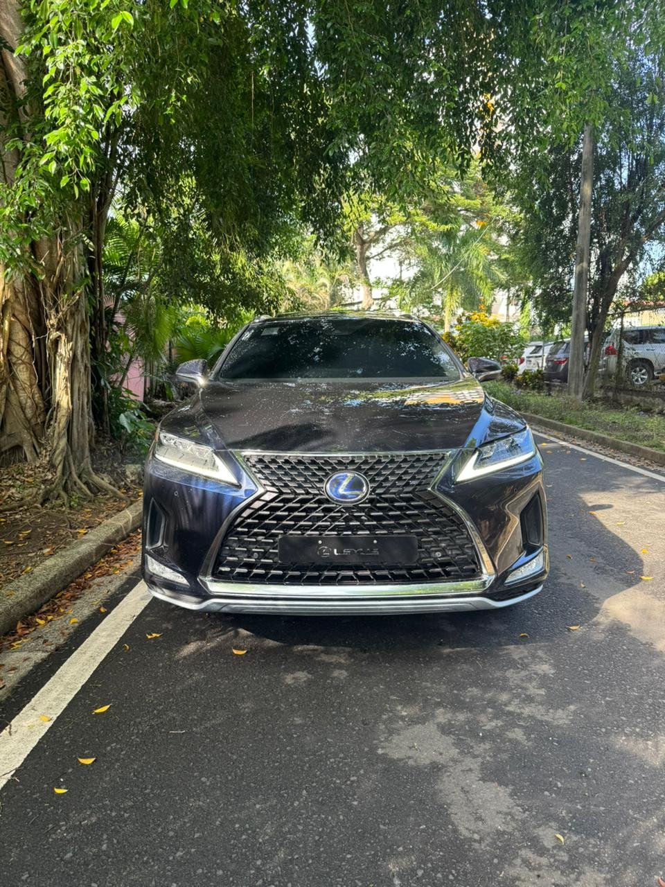 LEXUS RX450H 2020 - Imagen 2