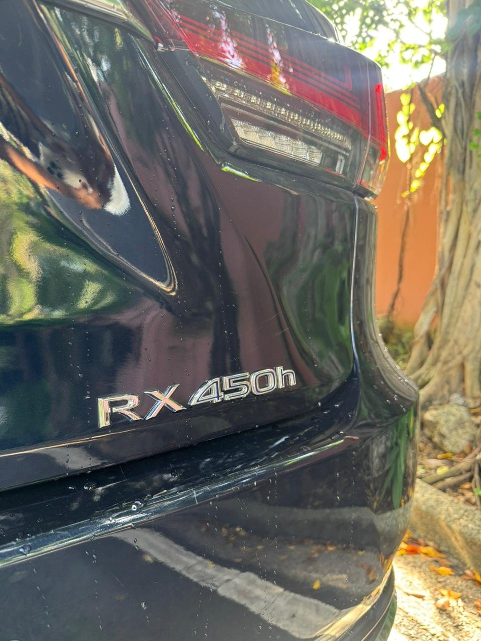 LEXUS RX450H 2020 - Imagen 3