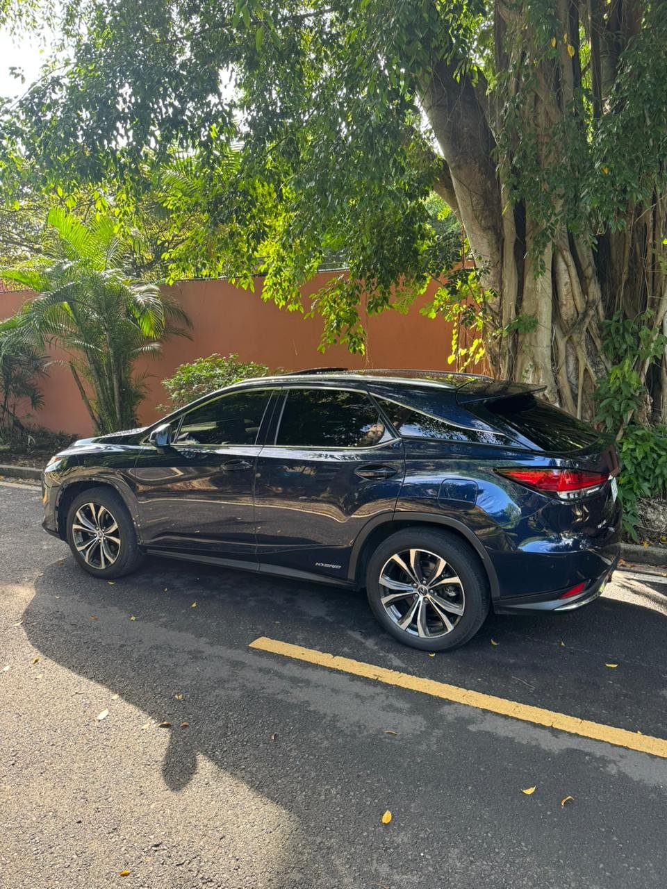 LEXUS RX450H 2020 - Imagen 9