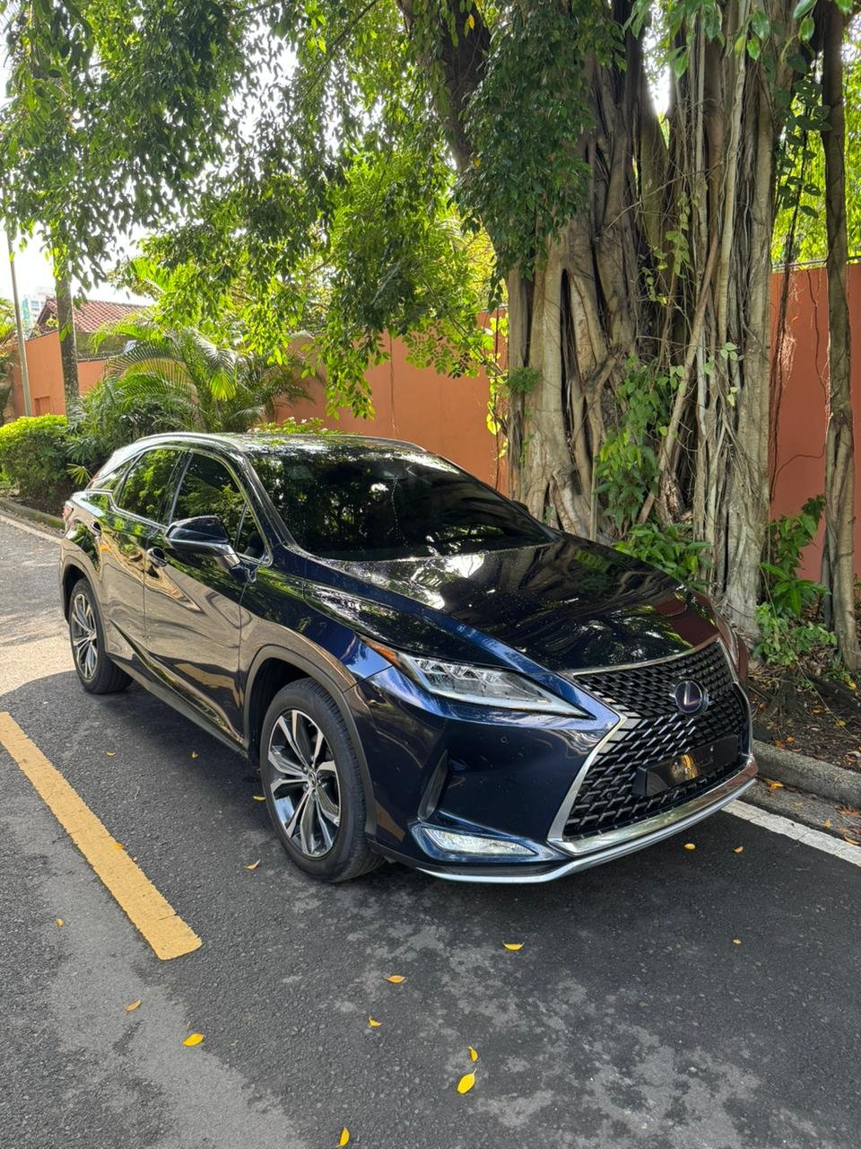 LEXUS RX450H 2020 - Imagen 15